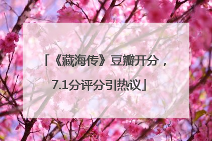 《藏海传》豆瓣开分，7.1分评分引热议