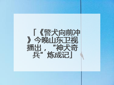《警犬向前冲》今晚山东卫视播出，“神犬奇兵”炼成记