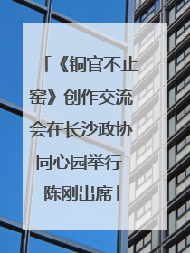 《铜官不止窑》创作交流会在长沙政协同心园举行 陈刚出席