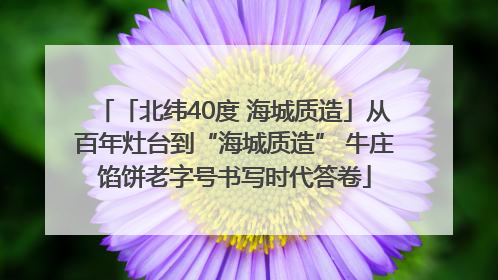 「北纬40度 海城质造」从百年灶台到“海城质造” 牛庄馅饼老字号书写时代答卷