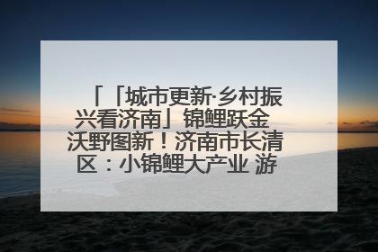 「城市更新·乡村振兴看济南」锦鲤跃金 沃野图新！济南市长清区：小锦鲤大产业 游出农旅新风景