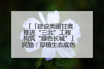 「建设美丽甘肃 推进“三北”工程 构筑“绿色长城”」民勤:厚植生态底色 筑牢绿色屏障