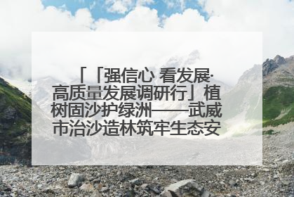 「强信心 看发展·高质量发展调研行」植树固沙护绿洲——武威市治沙造林筑牢生态安全屏障见闻