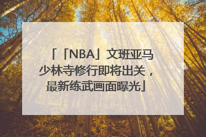 「NBA」文班亚马少林寺修行即将出关，最新练武画面曝光
