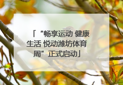 “畅享运动 健康生活 悦动潍坊体育周”正式启动