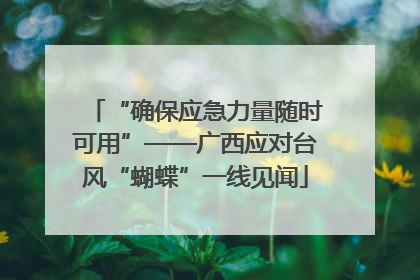 “确保应急力量随时可用”——广西应对台风“蝴蝶”一线见闻