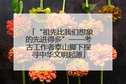 “祖先比我们想象的先进得多”——考古工作者泰山脚下探寻中华文明起源