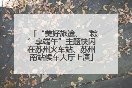 “美好旅途、‘粽’享端午”主题快闪在苏州火车站、苏州南站候车大厅上演