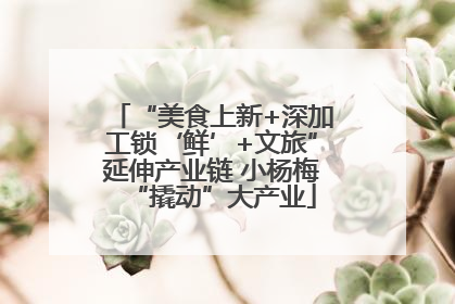 “美食上新+深加工锁‘鲜’+文旅”延伸产业链 小杨梅“撬动”大产业
