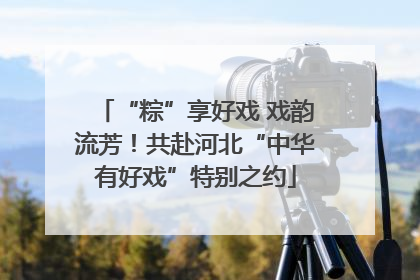 “粽”享好戏 戏韵流芳！共赴河北“中华有好戏”特别之约