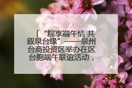 “粽享端午情 共叙泉台缘”——泉州台商投资区举办在区台胞端午联谊活动，共话同源深情