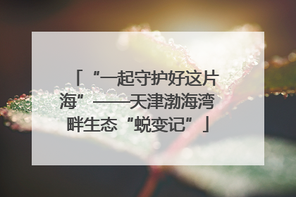 “一起守护好这片海”——天津渤海湾畔生态“蜕变记”