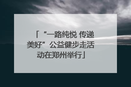 “一路纯悦 传递美好”公益健步走活动在郑州举行