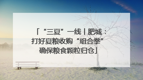 “三夏”一线丨肥城：打好夏粮收购“组合拳” 确保粮食颗粒归仓