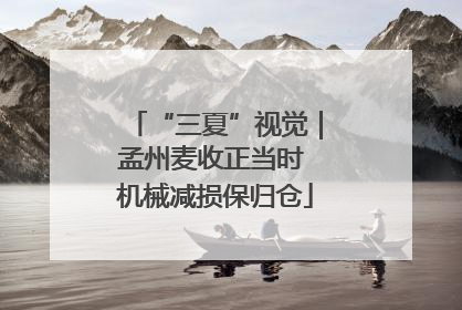 “三夏”视觉｜孟州麦收正当时 机械减损保归仓