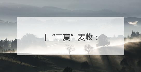 “三夏”麦收：机收“大比武” 减损论“英雄”