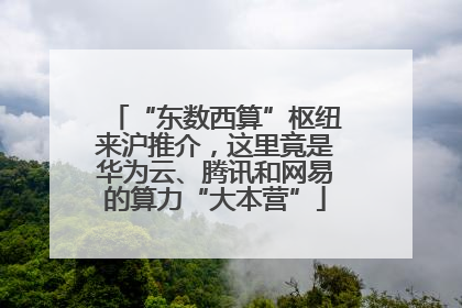 “东数西算”枢纽来沪推介，这里竟是华为云、腾讯和网易的算力“大本营”