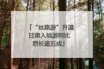 “丝路游”升温 甘肃入境游同比增长逾五成