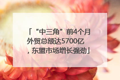 “中三角”前4个月外贸总额达5700亿，东盟市场增长强劲