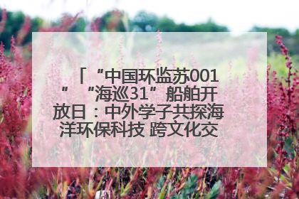“中国环监苏001”“海巡31”船舶开放日：中外学子共探海洋环保科技 跨文化交流筑牢“蓝色”友谊