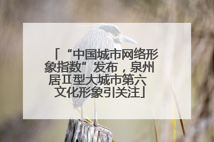 “中国城市网络形象指数”发布，泉州居Ⅱ型大城市第六 文化形象引关注