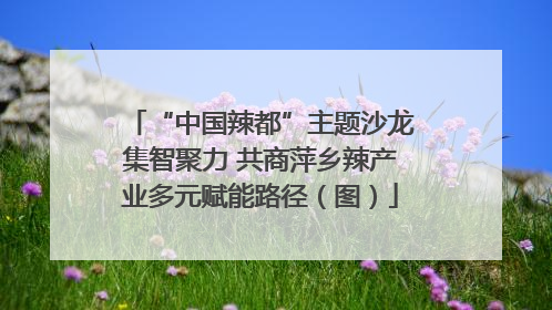 “中国辣都”主题沙龙集智聚力 共商萍乡辣产业多元赋能路径（图）