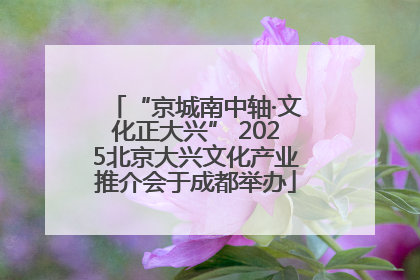 “京城南中轴·文化正大兴” 2025北京大兴文化产业推介会于成都举办