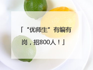 “优师生”有编有岗，招800人！