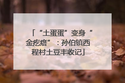 “土蛋蛋”变身“金疙瘩”：孙伯镇西程村土豆丰收记