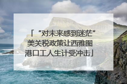 “对未来感到迷茫” 美关税政策让西雅图港口工人生计受冲击