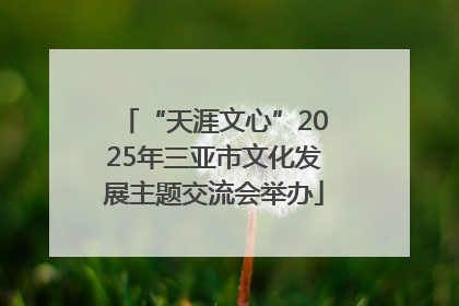 “天涯文心”2025年三亚市文化发展主题交流会举办