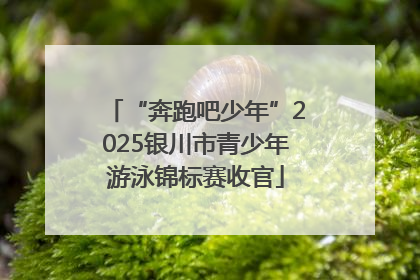 “奔跑吧少年”2025银川市青少年游泳锦标赛收官