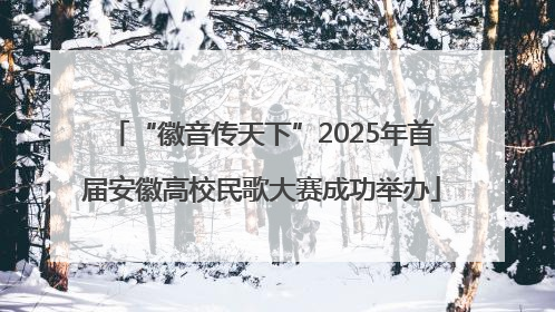 “徽音传天下”2025年首届安徽高校民歌大赛成功举办