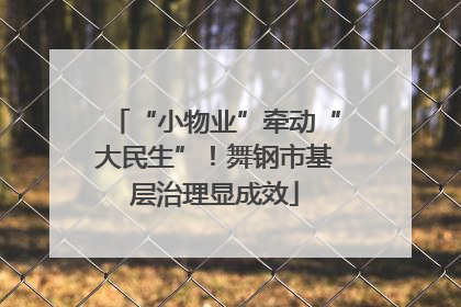 “小物业”牵动“大民生”！舞钢市基层治理显成效