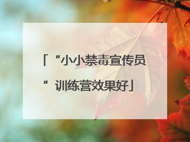 “小小禁毒宣传员”训练营效果好