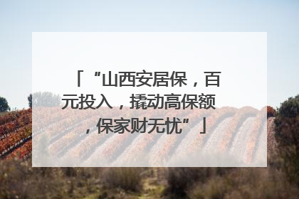 “山西安居保，百元投入，撬动高保额，保家财无忧”