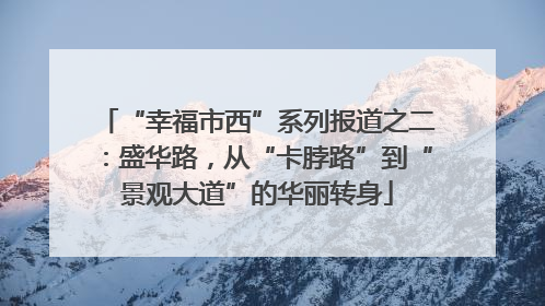 “幸福市西”系列报道之二：盛华路，从“卡脖路”到“景观大道”的华丽转身
