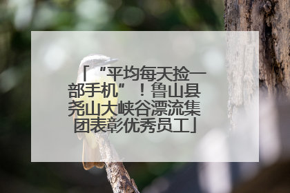 “平均每天捡一部手机”！鲁山县尧山大峡谷漂流集团表彰优秀员工