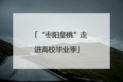 “枣阳皇桃”走进高校毕业季