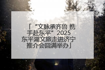 “文脉承齐鲁 携手赴东平”2025东平湖文旅走进济宁推介会圆满举办