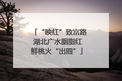 “映红”致富路 湖北广水胭脂红鲜桃火“出圈”