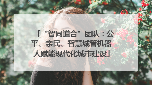 “智同道合”团队：公平、亲民、智慧城管机器人赋能现代化城市建设