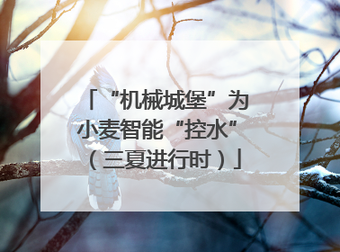 “机械城堡”为小麦智能“控水”（三夏进行时）