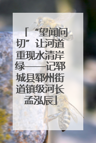 “望闻问切”让河道重现水清岸绿——记郓城县郓州街道镇级河长孟泓辰