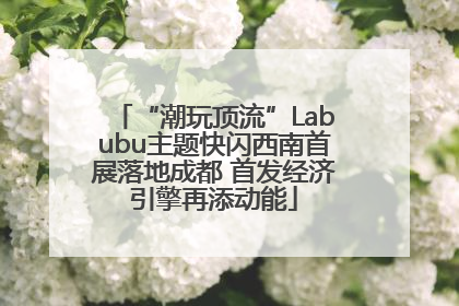 “潮玩顶流”Labubu主题快闪西南首展落地成都 首发经济引擎再添动能