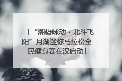“潮势咏动・北斗飞阳”月湖迷你马拉松全民健身赛在汉启动