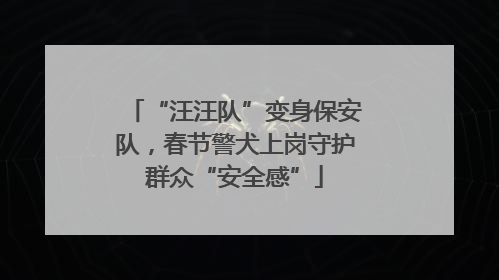 “汪汪队”变身保安队，春节警犬上岗守护群众“安全感”
