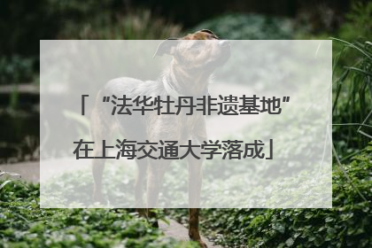 “法华牡丹非遗基地”在上海交通大学落成