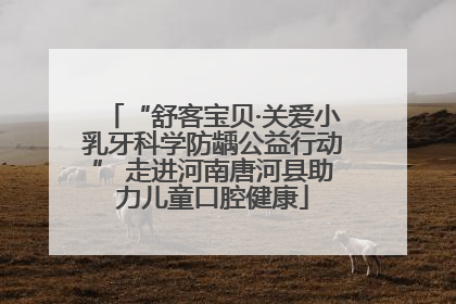“舒客宝贝·关爱小乳牙科学防龋公益行动” 走进河南唐河县助力儿童口腔健康