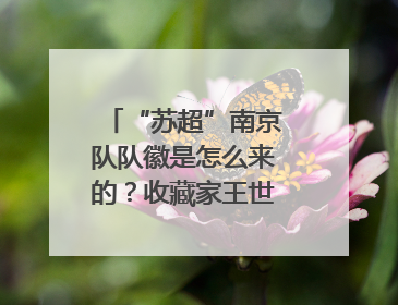 “苏超”南京队队徽是怎么来的？收藏家王世清细说源头
